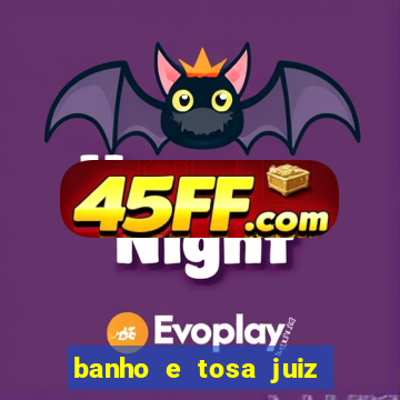 banho e tosa juiz de fora